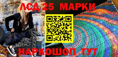 гидра Новодвинск