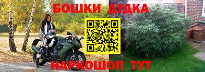 твердый Новозыбков