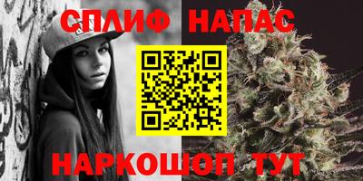 гидра Новодвинск