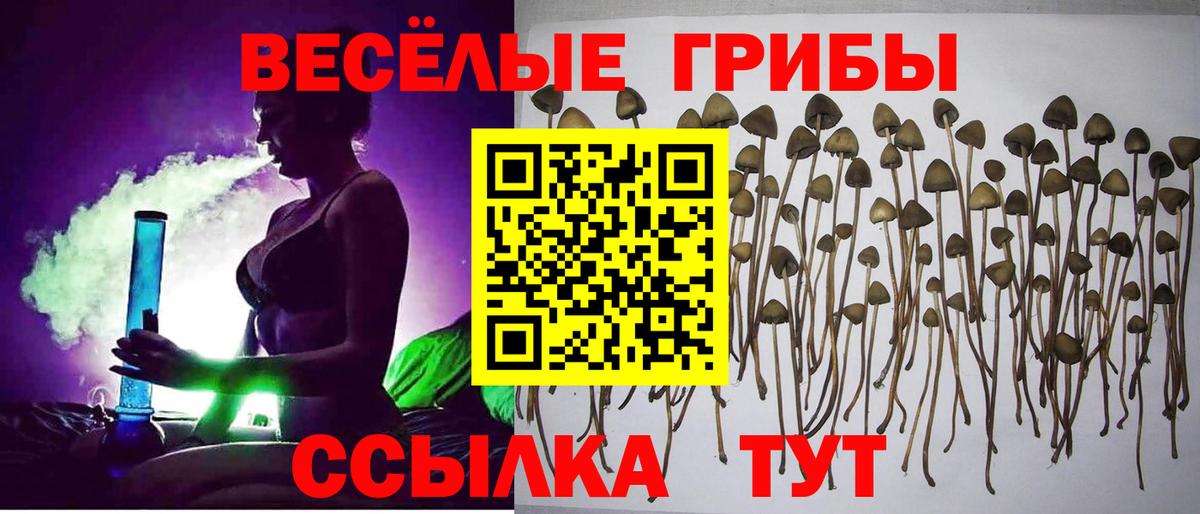 Псилоцибиновые грибы мухоморы  Вход с VPN  Электросталь 